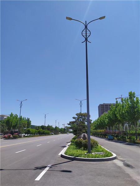 山东路灯厂家图片